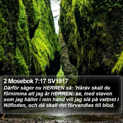2 Mosebok 7:17 SV1917 Bible Verse Image