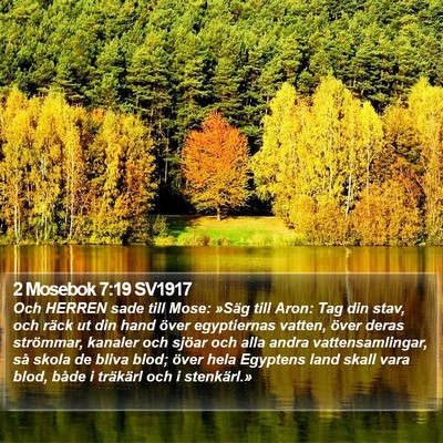 2 Mosebok 7:19 SV1917 Bible Verse Image