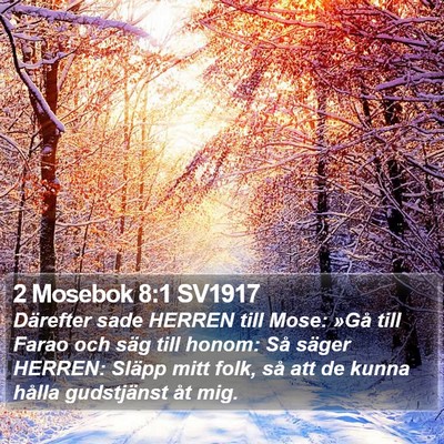 2 Mosebok 8:1 SV1917 Bible Verse Image