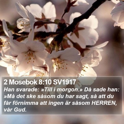 2 Mosebok 8:10 SV1917 Bible Verse Image