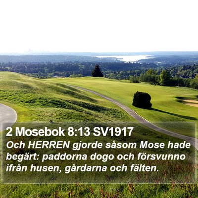 2 Mosebok 8:13 SV1917 Bible Verse Image