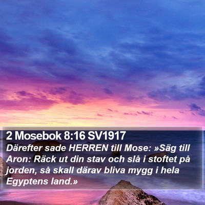 2 Mosebok 8:16 SV1917 Bible Verse Image