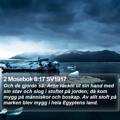 2 Mosebok 8:17 SV1917 Bible Verse Image