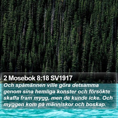 2 Mosebok 8:18 SV1917 Bible Verse Image