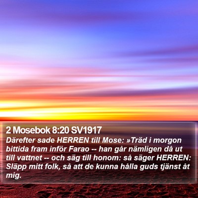 2 Mosebok 8:20 SV1917 Bible Verse Image
