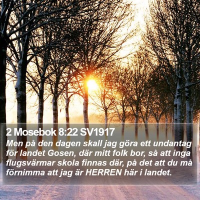 2 Mosebok 8:22 SV1917 Bible Verse Image