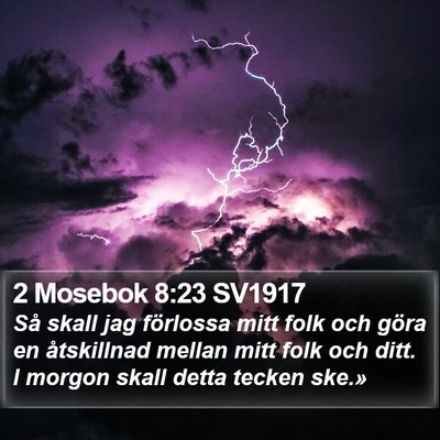 2 Mosebok 8:23 SV1917 Bible Verse Image
