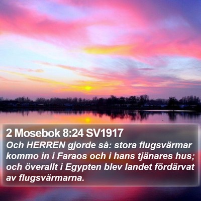 2 Mosebok 8:24 SV1917 Bible Verse Image