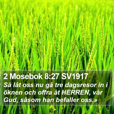 2 Mosebok 8:27 SV1917 Bible Verse Image
