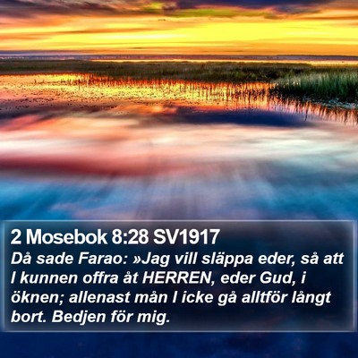 2 Mosebok 8:28 SV1917 Bible Verse Image