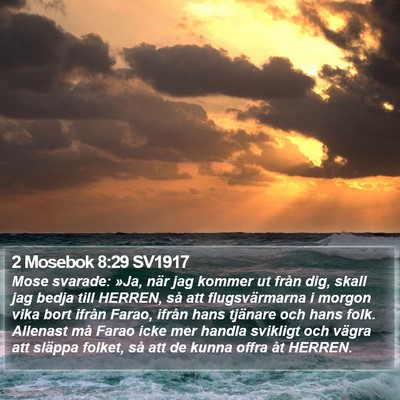 2 Mosebok 8:29 SV1917 Bible Verse Image