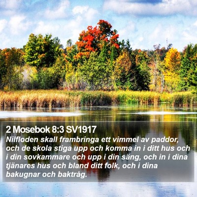 2 Mosebok 8:3 SV1917 Bible Verse Image