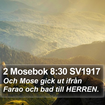 2 Mosebok 8:30 SV1917 Bible Verse Image