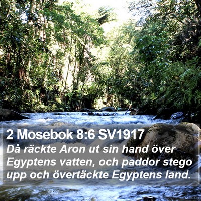 2 Mosebok 8:6 SV1917 Bible Verse Image