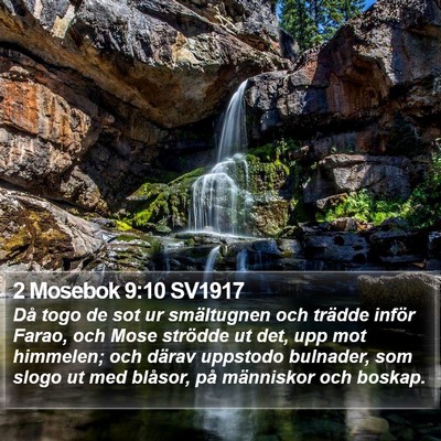 2 Mosebok 9:10 SV1917 Bible Verse Image