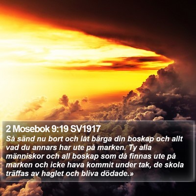 2 Mosebok 9:19 SV1917 Bible Verse Image