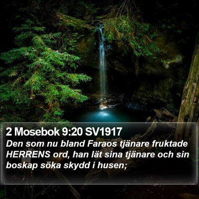 2 Mosebok 9:20 SV1917 Bible Verse Image