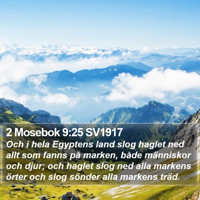 2 Mosebok 9:25 SV1917 Bible Verse Image