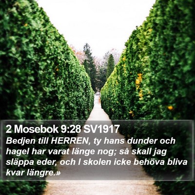 2 Mosebok 9:28 SV1917 Bible Verse Image