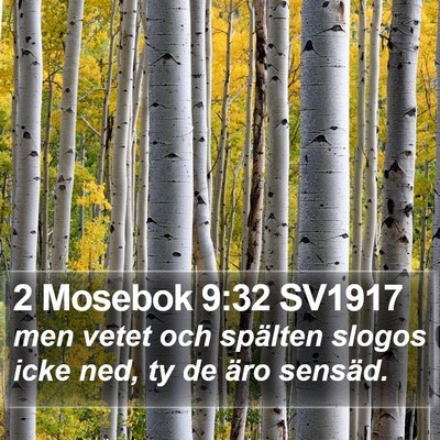 2 Mosebok 9:32 SV1917 Bible Verse Image