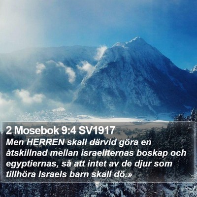 2 Mosebok 9:4 SV1917 Bible Verse Image