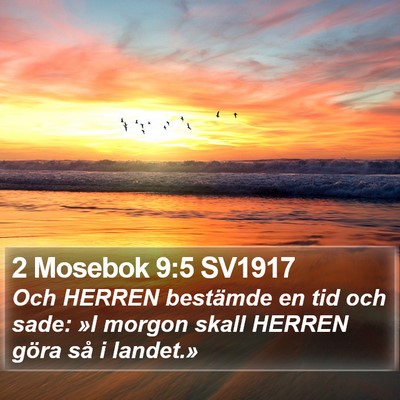2 Mosebok 9:5 SV1917 Bible Verse Image