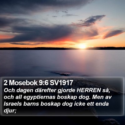 2 Mosebok 9:6 SV1917 Bible Verse Image