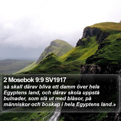 2 Mosebok 9:9 SV1917 Bible Verse Image