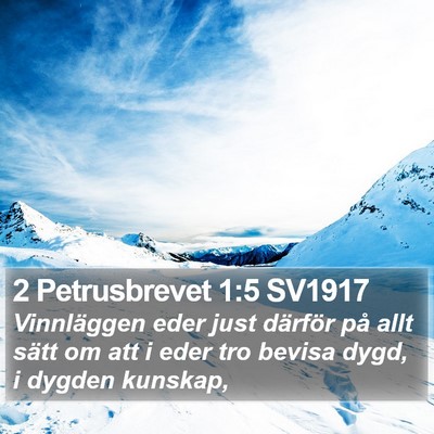 2 Petrusbrevet 1:5 SV1917 Bible Verse Image