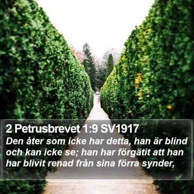 2 Petrusbrevet 1:9 SV1917 Bible Verse Image