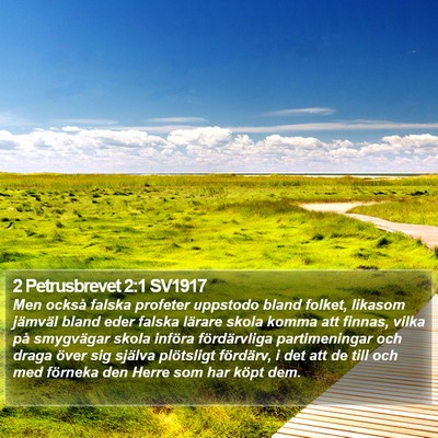 2 Petrusbrevet 2:1 SV1917 Bible Verse Image