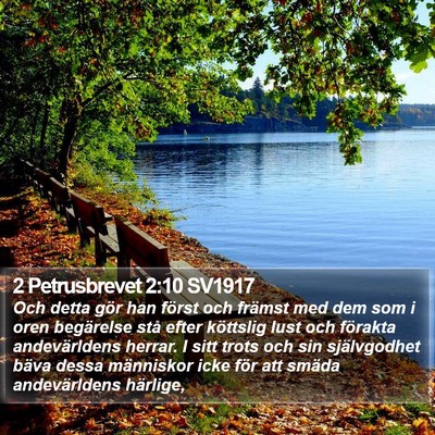 2 Petrusbrevet 2:10 SV1917 Bible Verse Image