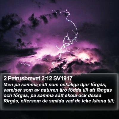 2 Petrusbrevet 2:12 SV1917 Bible Verse Image