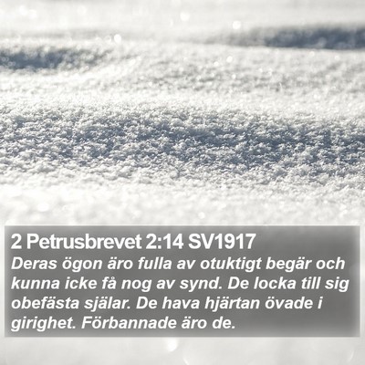 2 Petrusbrevet 2:14 SV1917 Bible Verse Image