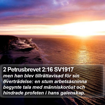 2 Petrusbrevet 2:16 SV1917 Bible Verse Image