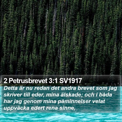 2 Petrusbrevet 3:1 SV1917 Bible Verse Image