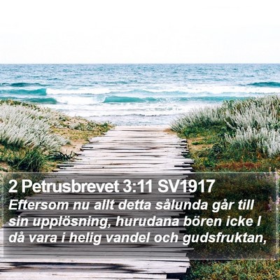 2 Petrusbrevet 3:11 SV1917 Bible Verse Image