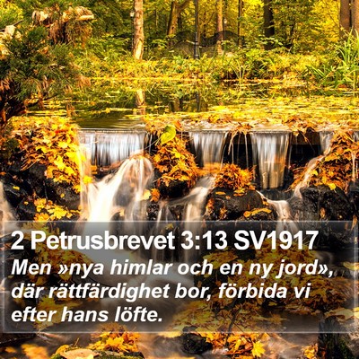 2 Petrusbrevet 3:13 SV1917 Bible Verse Image