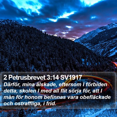 2 Petrusbrevet 3:14 SV1917 Bible Verse Image