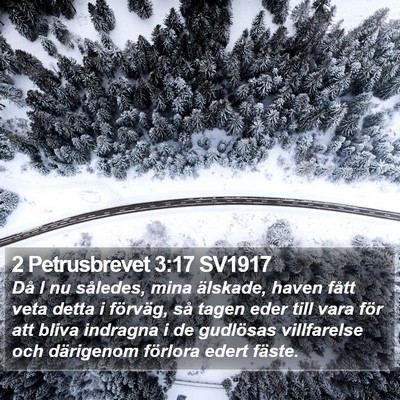2 Petrusbrevet 3:17 SV1917 Bible Verse Image