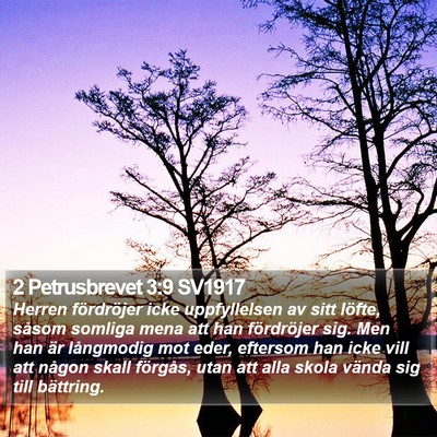 2 Petrusbrevet 3:9 SV1917 Bible Verse Image