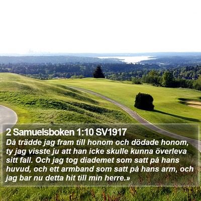 2 Samuelsboken 1:10 SV1917 Bible Verse Image