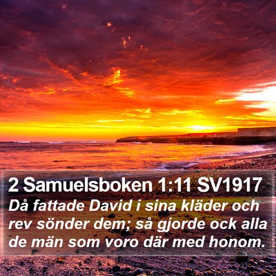 2 Samuelsboken 1:11 SV1917 Bible Verse Image