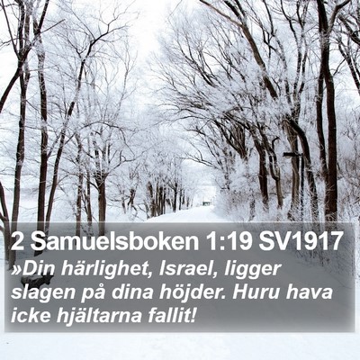 2 Samuelsboken 1:19 SV1917 Bible Verse Image
