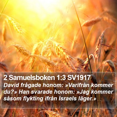 2 Samuelsboken 1:3 SV1917 Bible Verse Image