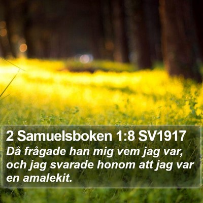 2 Samuelsboken 1:8 SV1917 Bible Verse Image