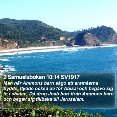 2 Samuelsboken 10:14 SV1917 Bible Verse Image