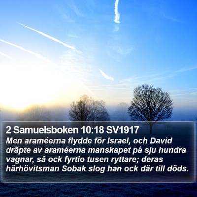 2 Samuelsboken 10:18 SV1917 Bible Verse Image