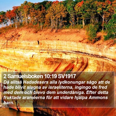 2 Samuelsboken 10:19 SV1917 Bible Verse Image