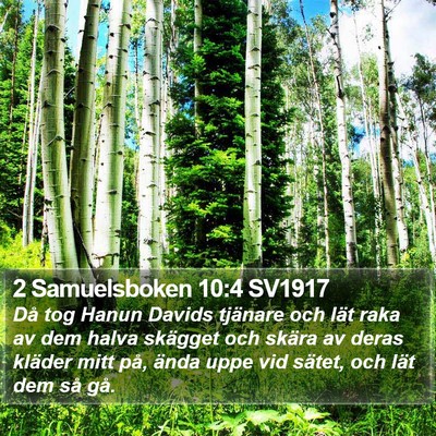 2 Samuelsboken 10:4 SV1917 Bible Verse Image